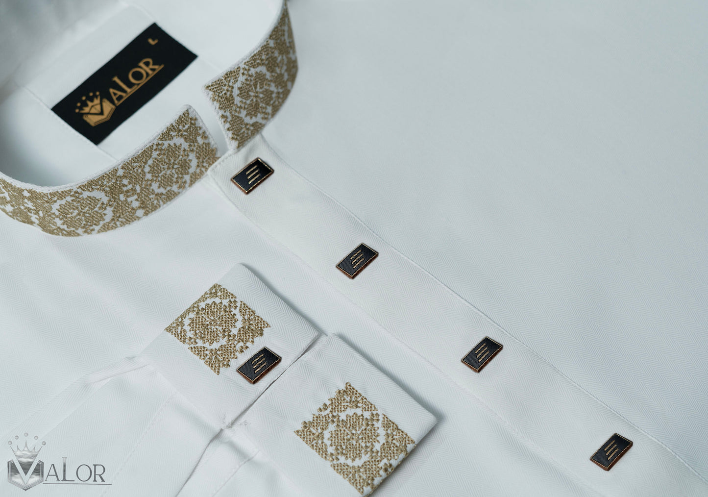 Elegance Panjabi (1064)