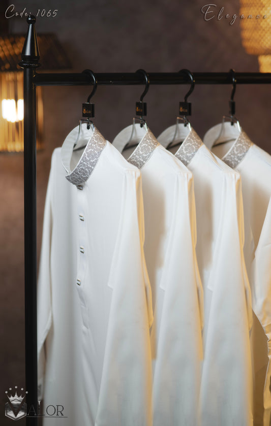 Elegance Panjabi (1065)