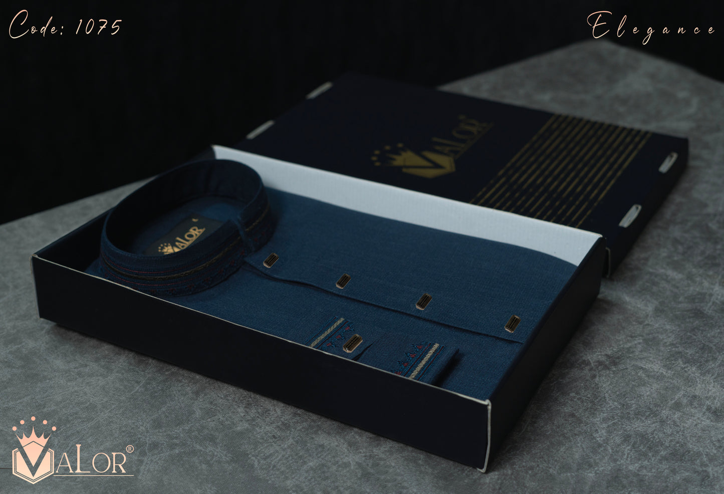 Elegance Panjabi (1075)