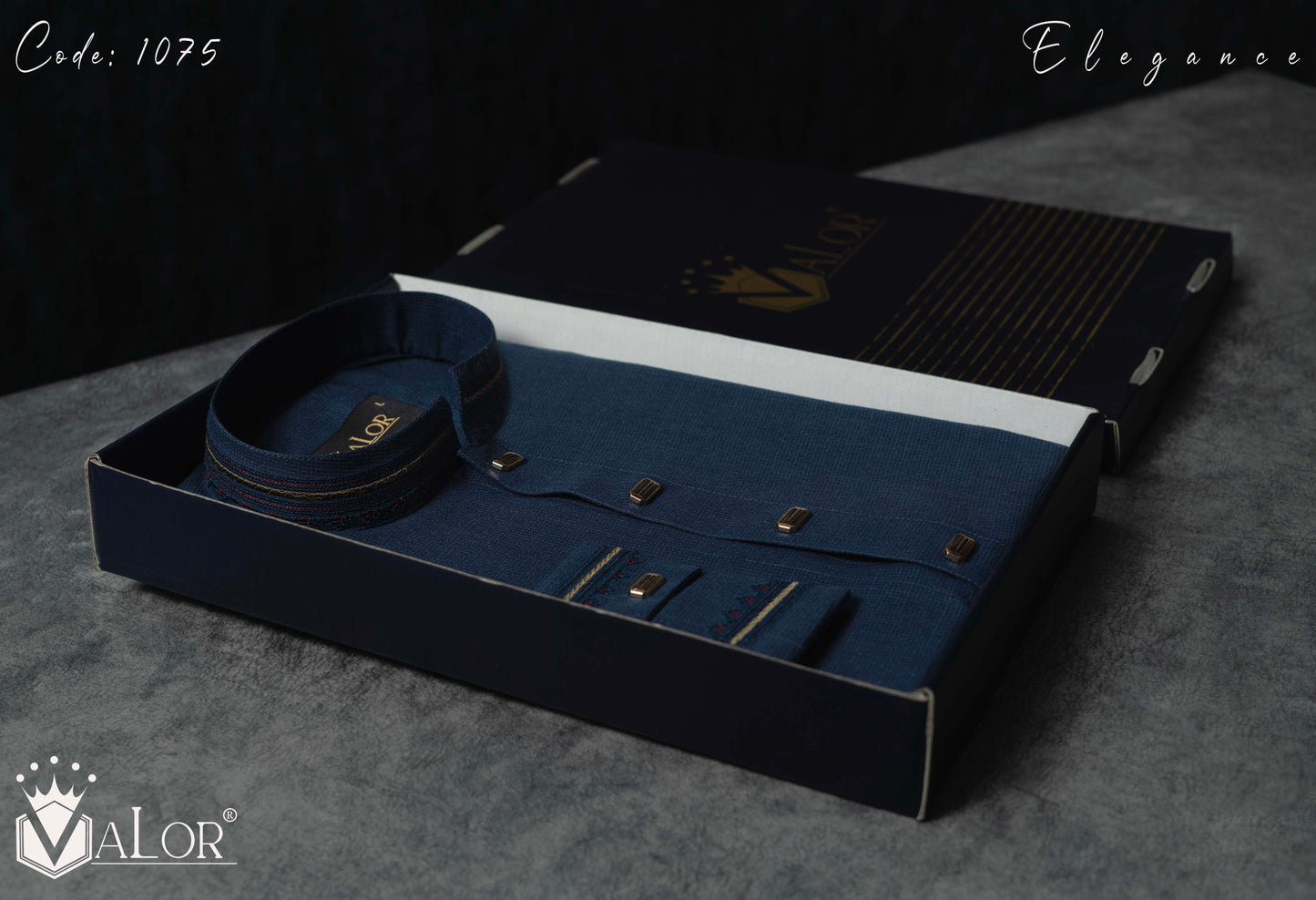 Elegance Panjabi (1075)