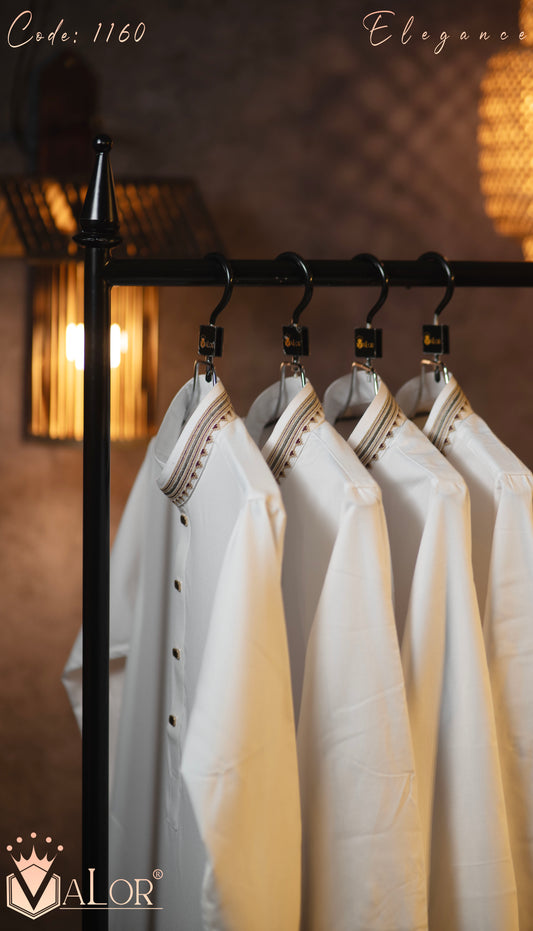 Elegance Panjabi (1160)