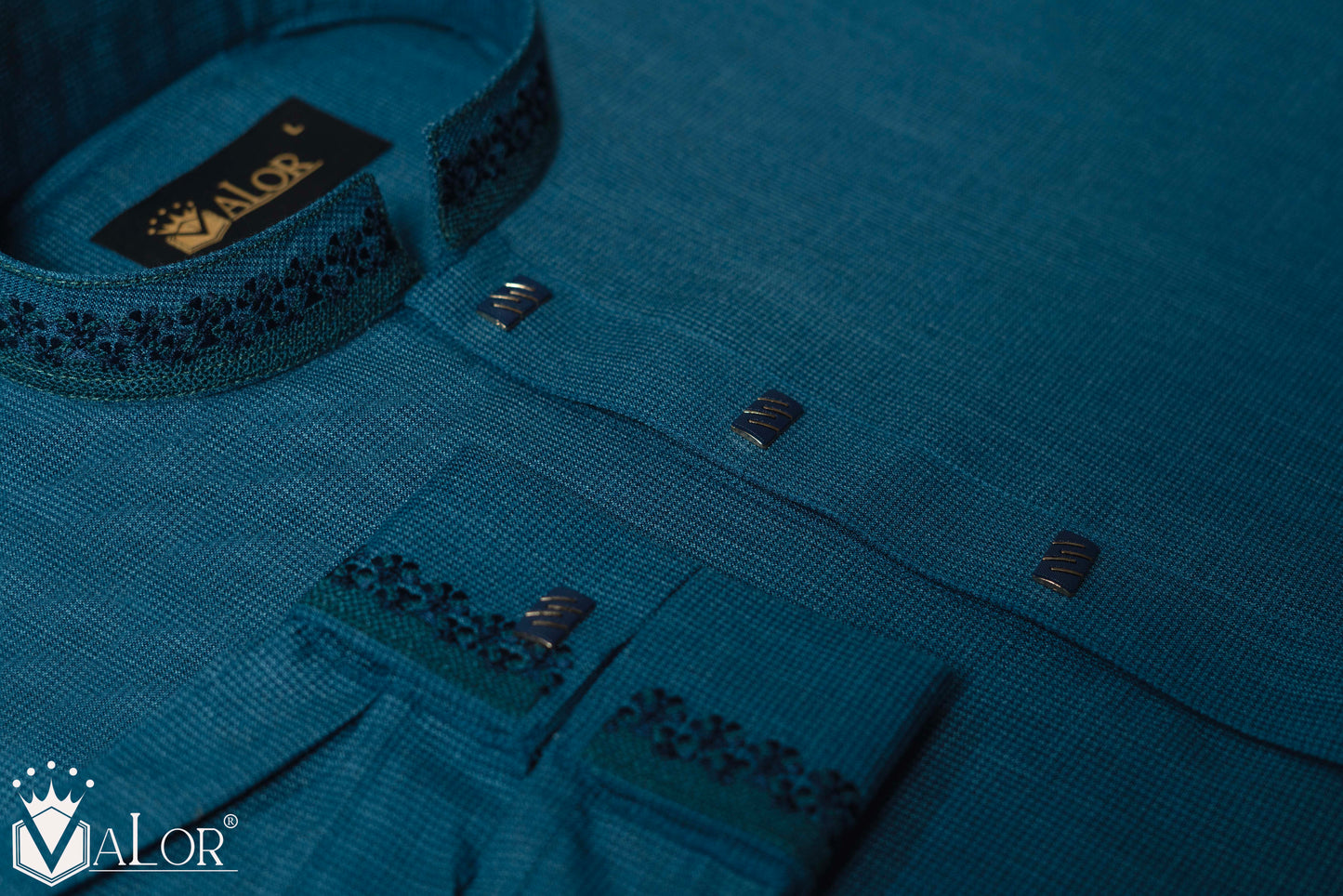 Elegance Panjabi (1164)