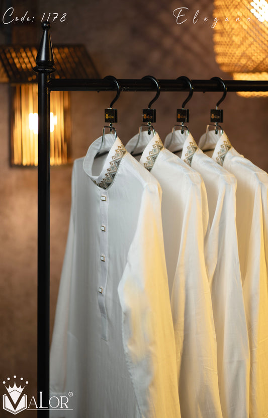 Elegance Panjabi (1178)