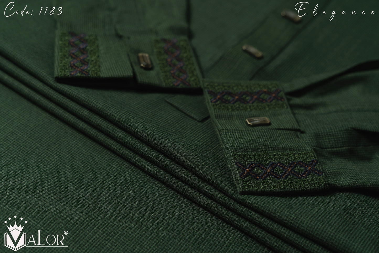 Elegance Panjabi (1183)