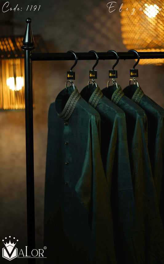 Elegance Panjabi (1191)