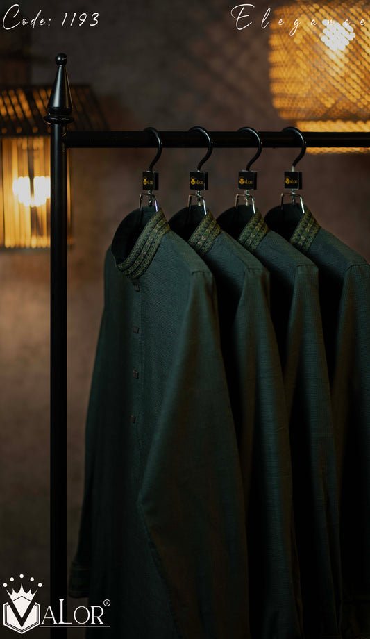 Elegance Panjabi (1193)