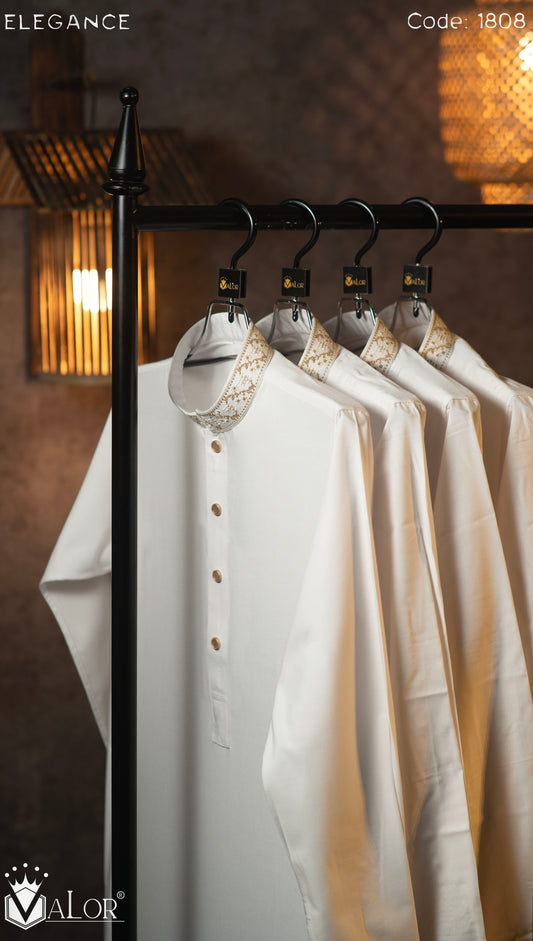 Elegance Panjabi (1808)