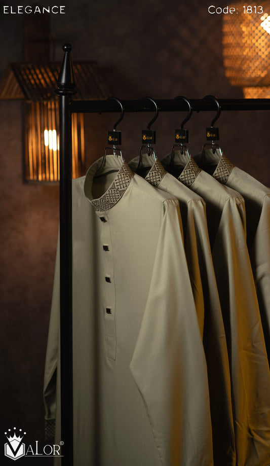 Elegance Panjabi (1813)