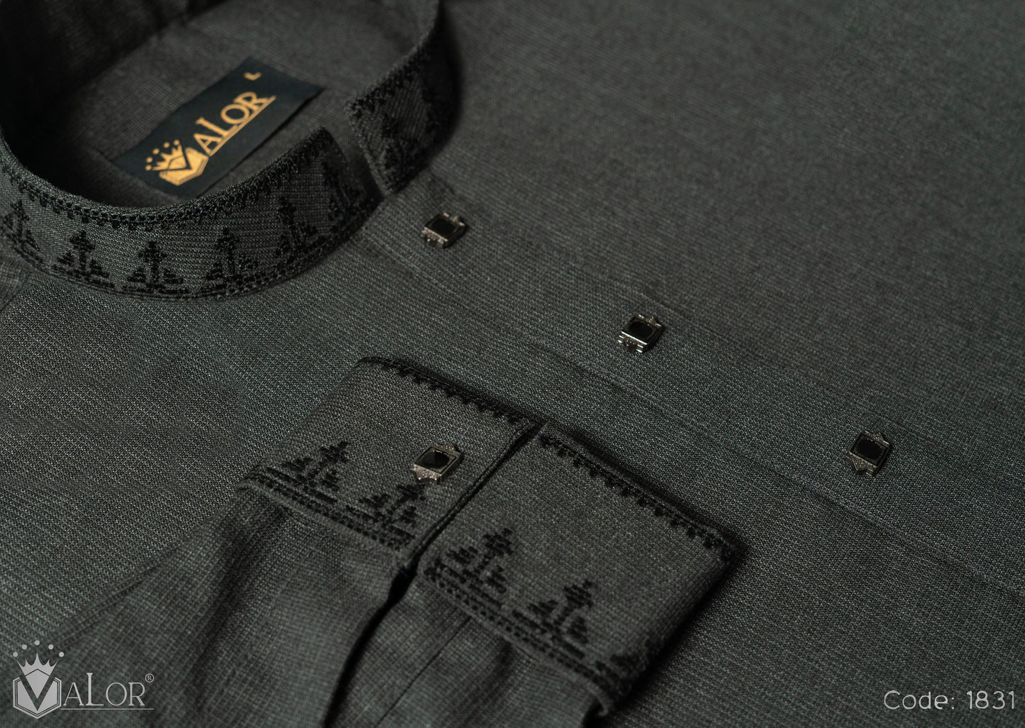 Elegance Panjabi (1831)