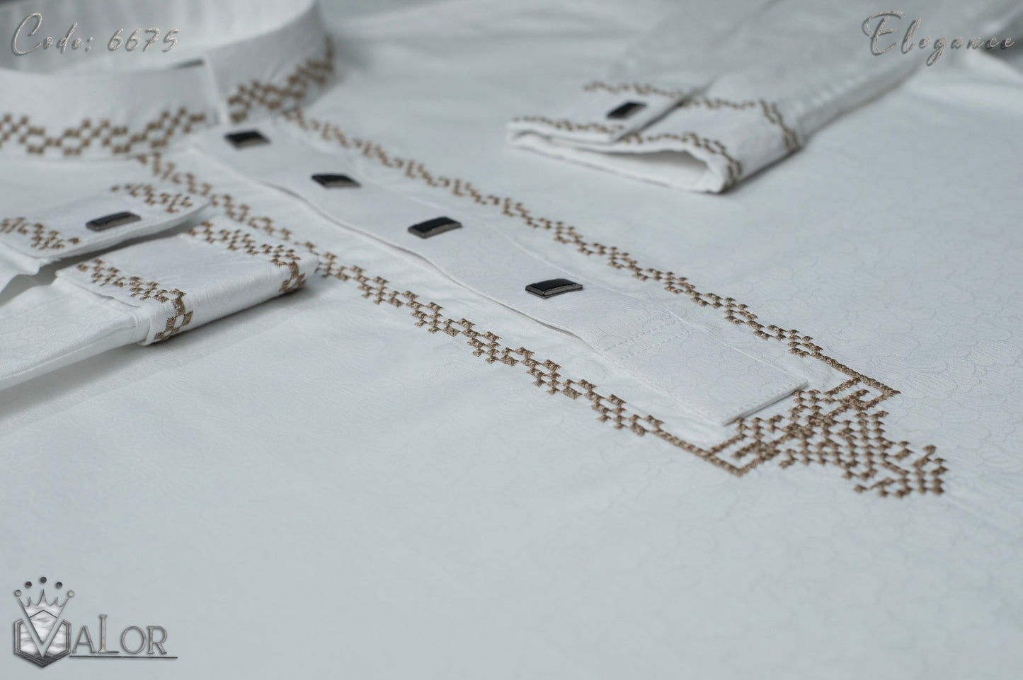 Elegance Panjabi (6675)