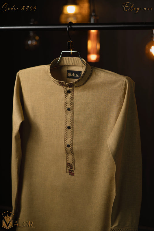 Elegance Panjabi (8804)