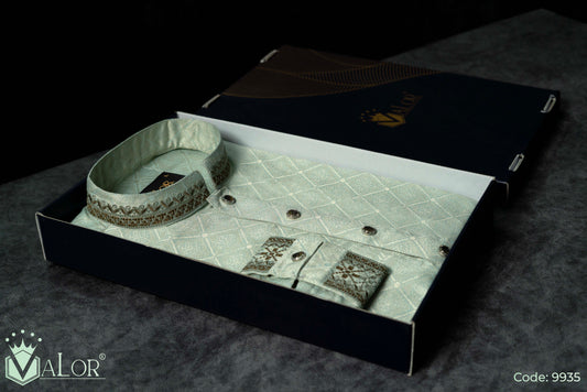 Luxury Panjabi (9935)