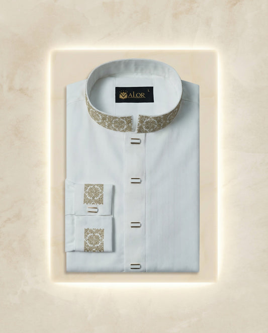 Elegance Panjabi (1064)