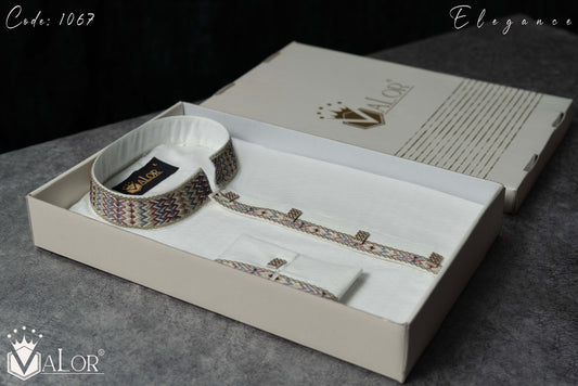 Elegance Panjabi (1067)