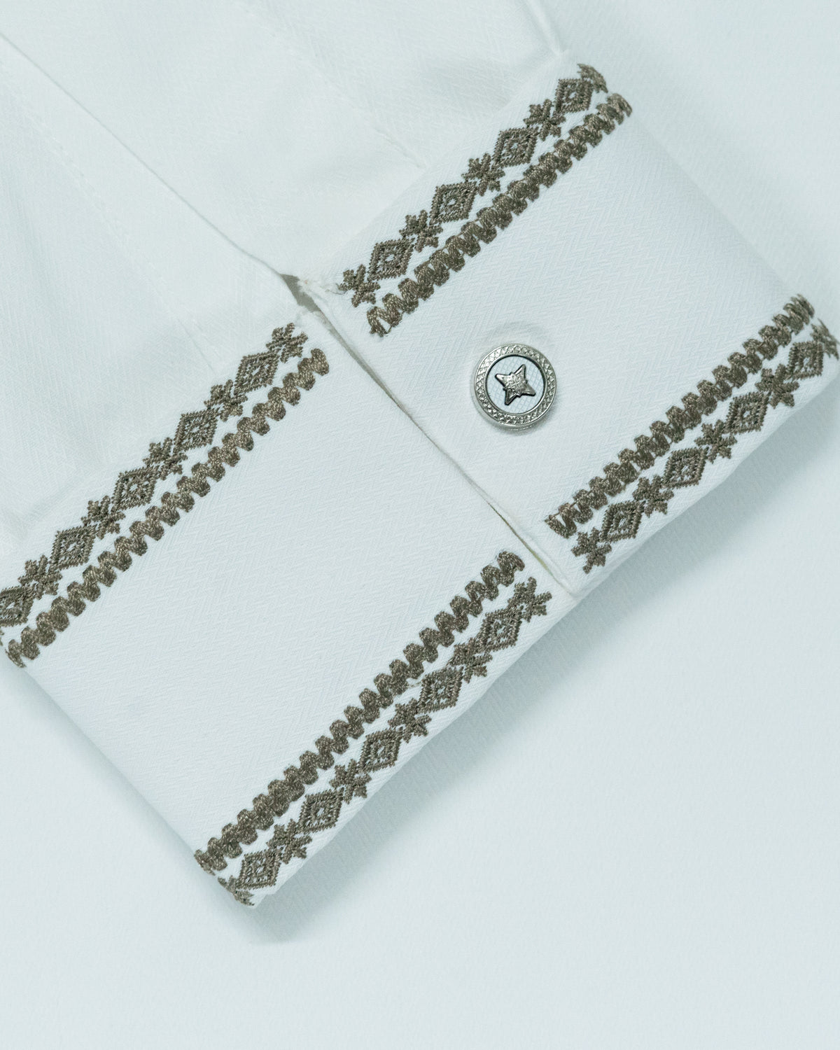 Elegance Panjabi  (1068)