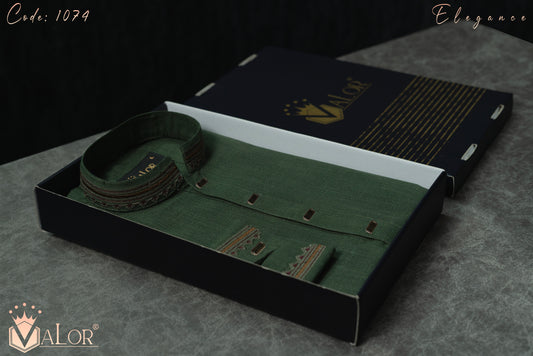 Elegance Panjabi (1074)