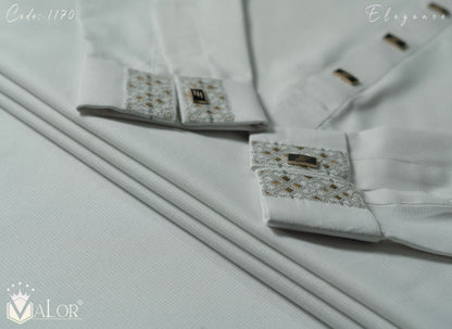 Elegance Panjabi (1170)