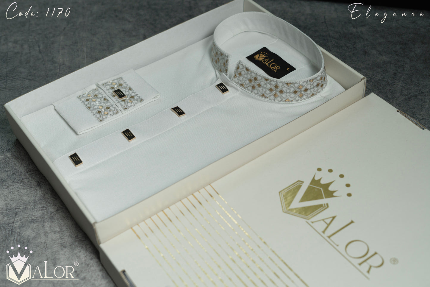 Elegance Panjabi (1170)