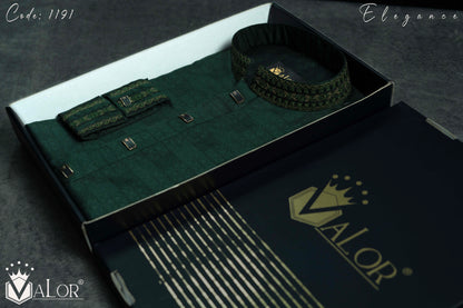 Elegance Panjabi (1191)