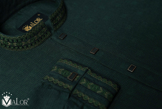 Elegance Panjabi (1193)
