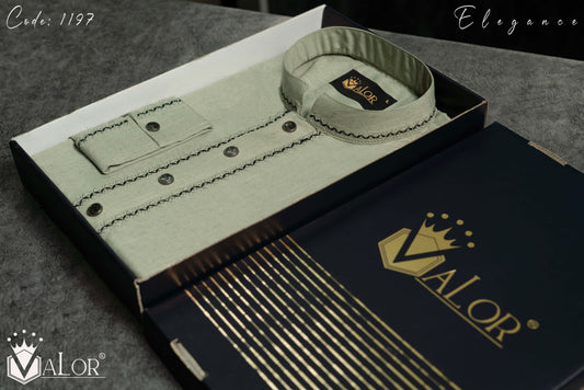 Elegance Panjabi (1197)