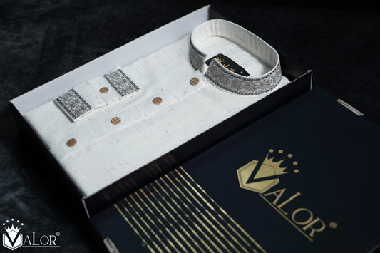 Elegance Panjabi (1203)