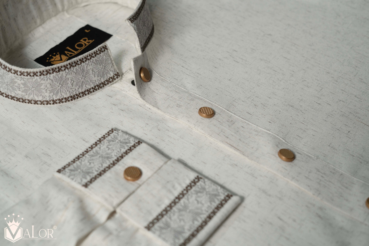 Elegance Panjabi (1204)