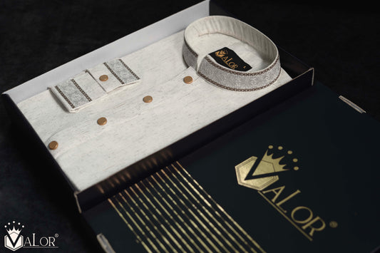 Elegance Panjabi (1204)