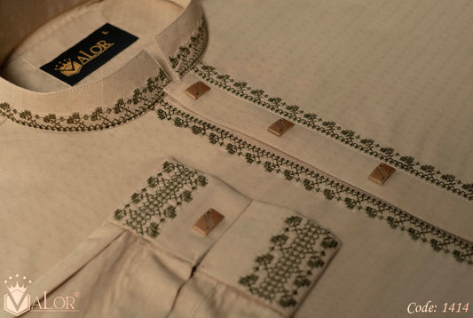 Platinum Panjabi (1414)