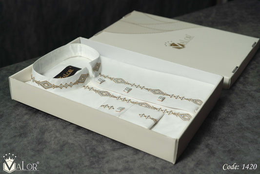 Platinum Panjabi (1420)