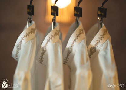 Platinum Panjabi (1420)