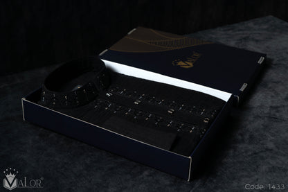 Platinum Panjabi (1433)