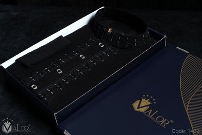 Platinum Panjabi (1433)