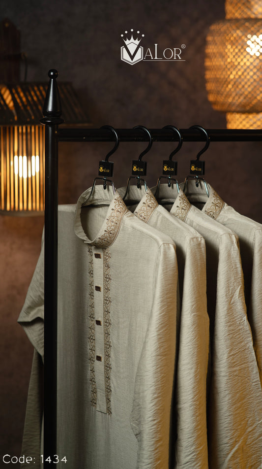 Platinum Panjabi (1434)