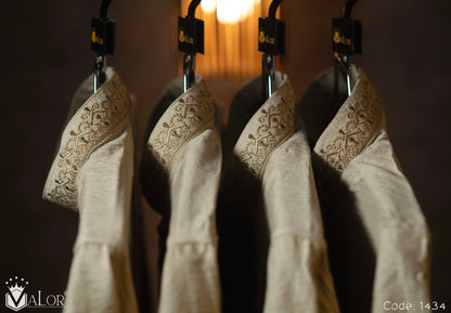 Platinum Panjabi (1434)