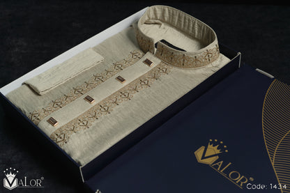 Platinum Panjabi (1434)