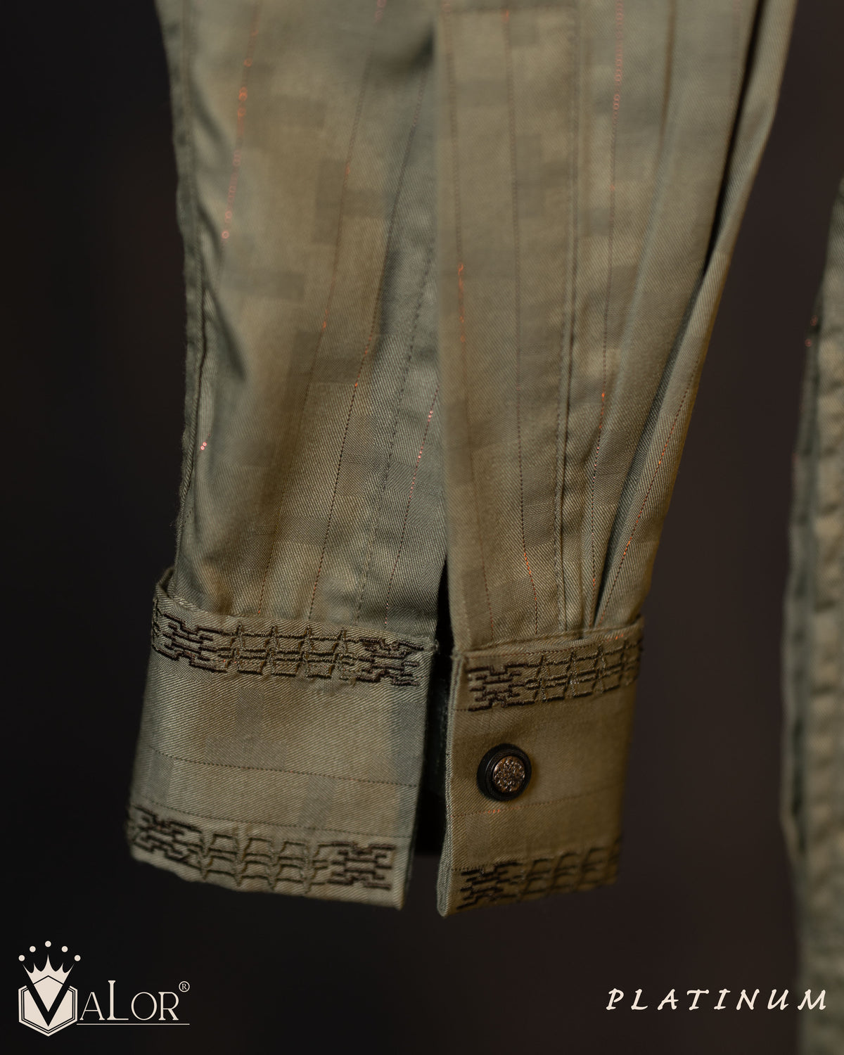 Platinum Panjabi (1445)