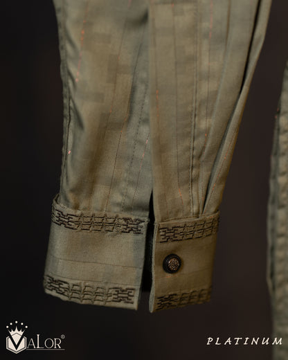 Platinum Panjabi (1445)