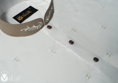 Premium Panjabi (1512)