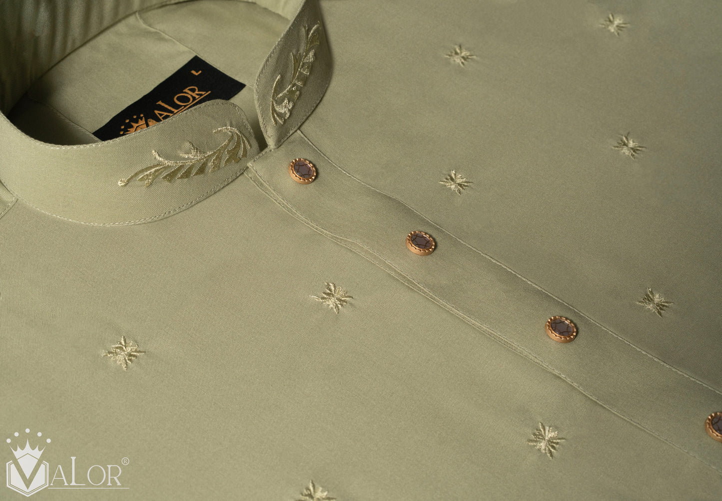 Premium Panjabi (1513)