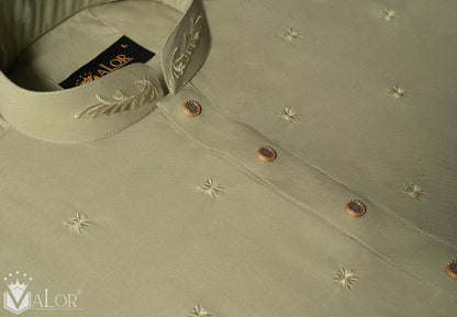 Premium Panjabi (1513)