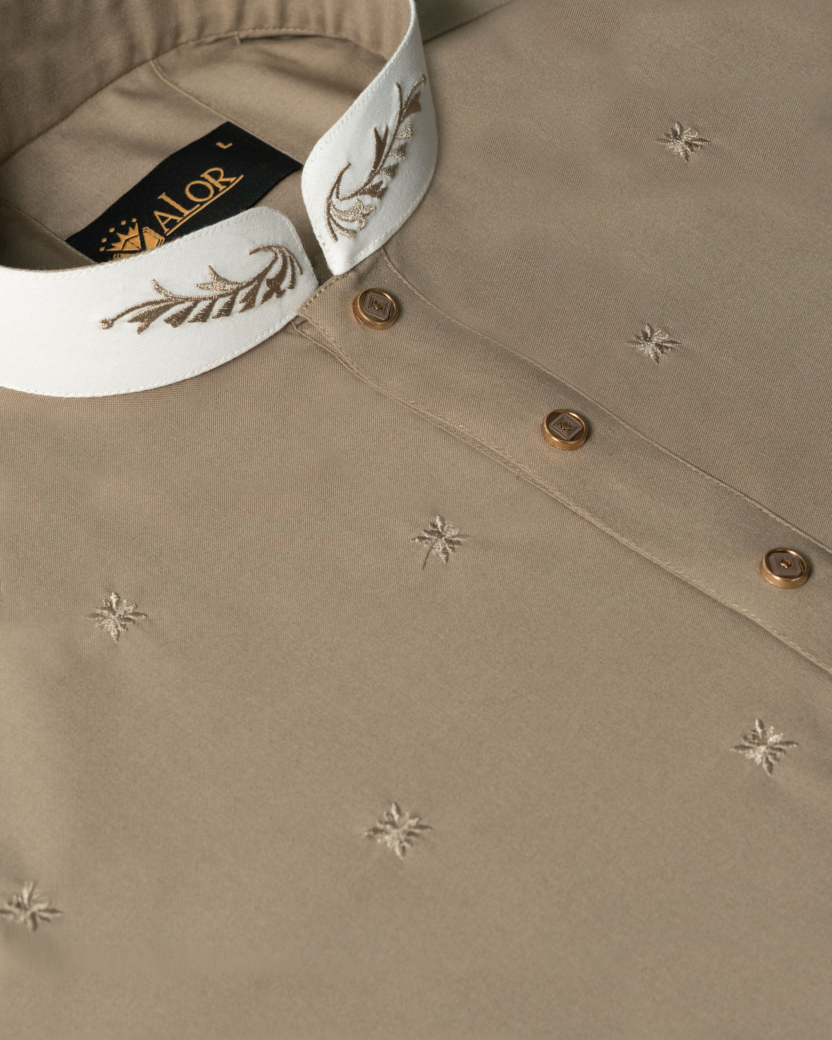 Premium Panjabi (1519)