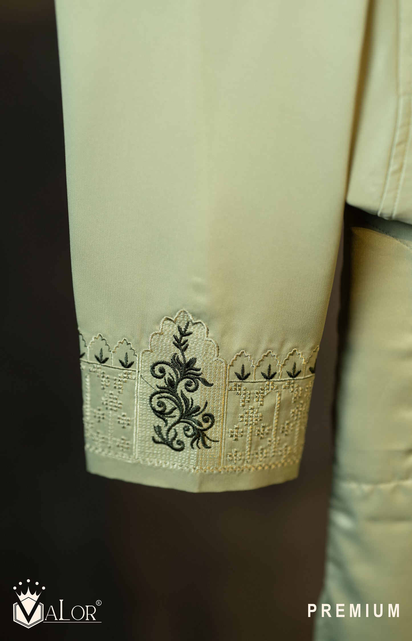Premium Panjabi (1533)