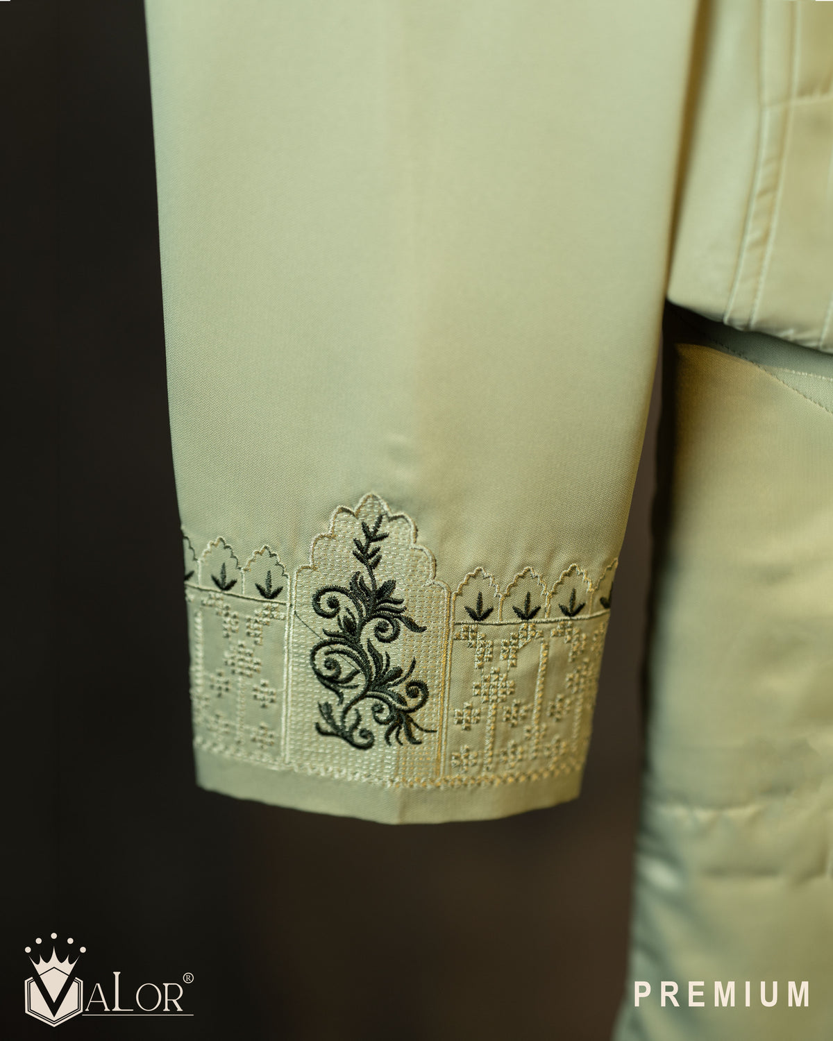 Premium Panjabi (1533)
