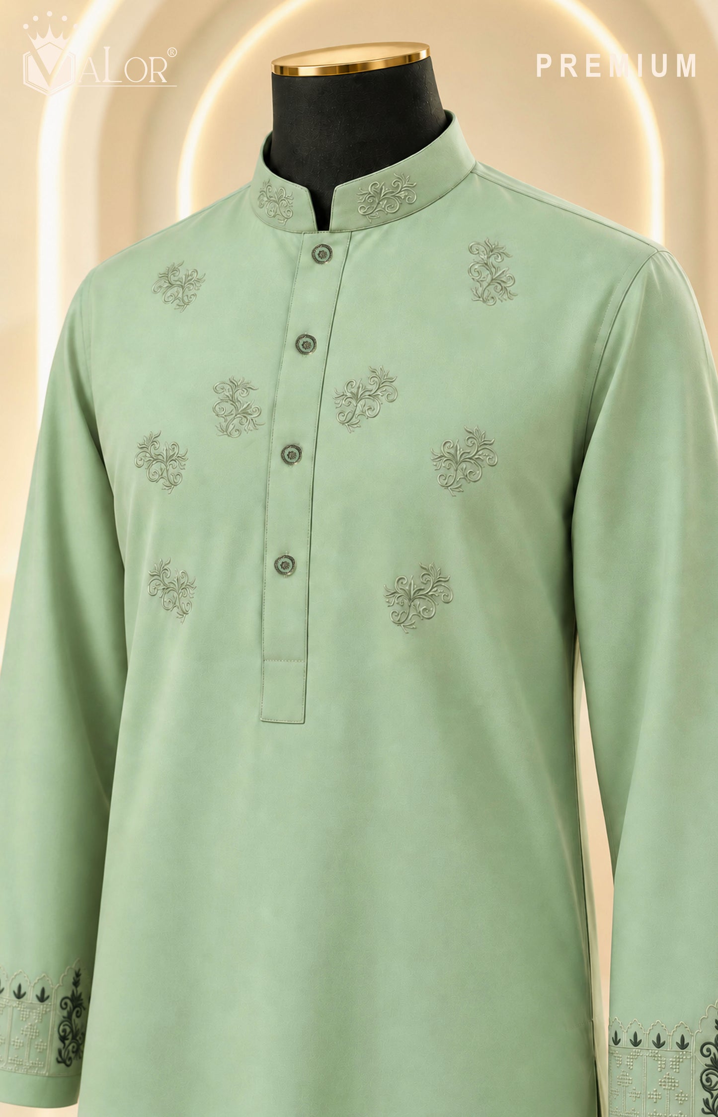 Premium Panjabi (1533)