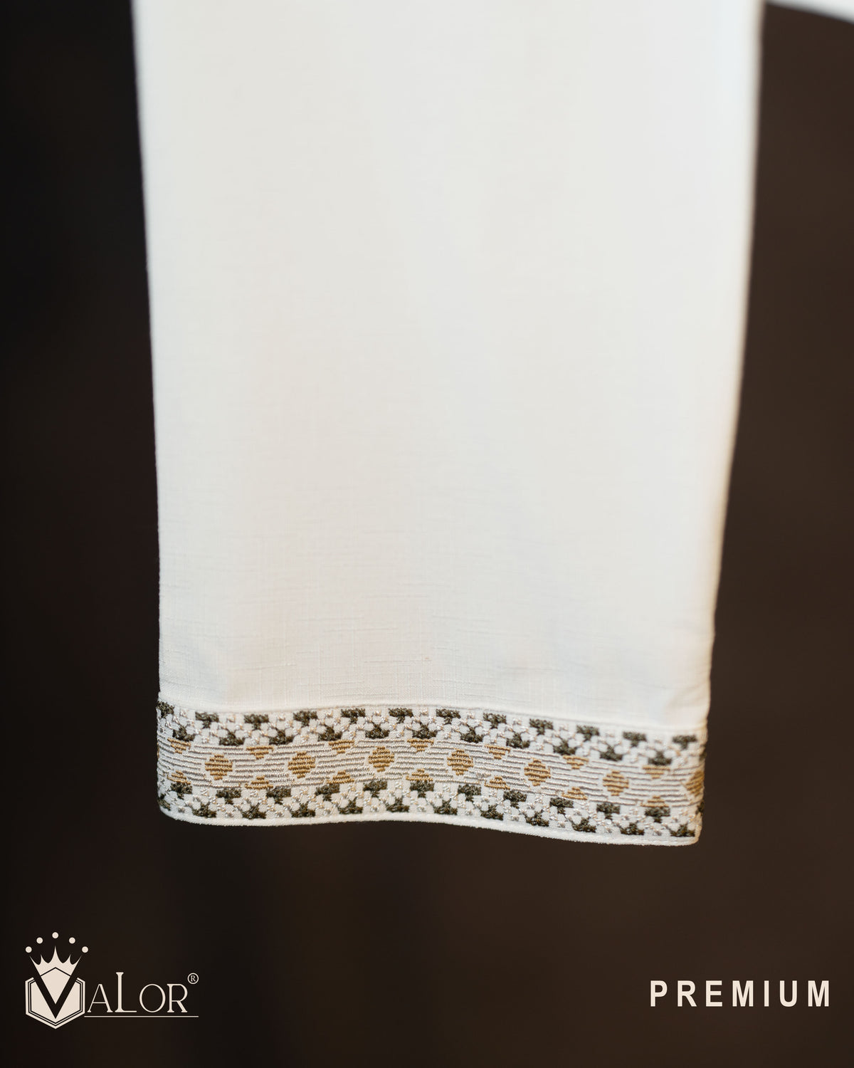 Premium Panjabi (1538)