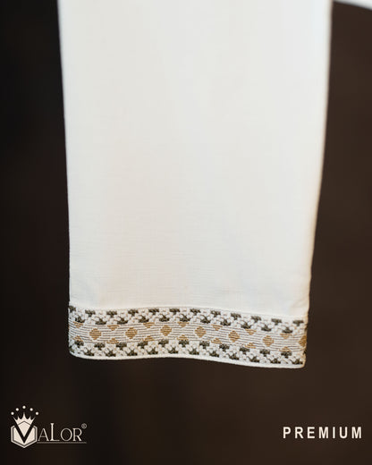 Premium Panjabi (1538)