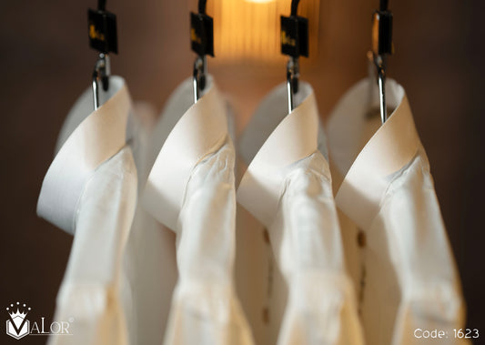 Sahara Panjabi (1623)