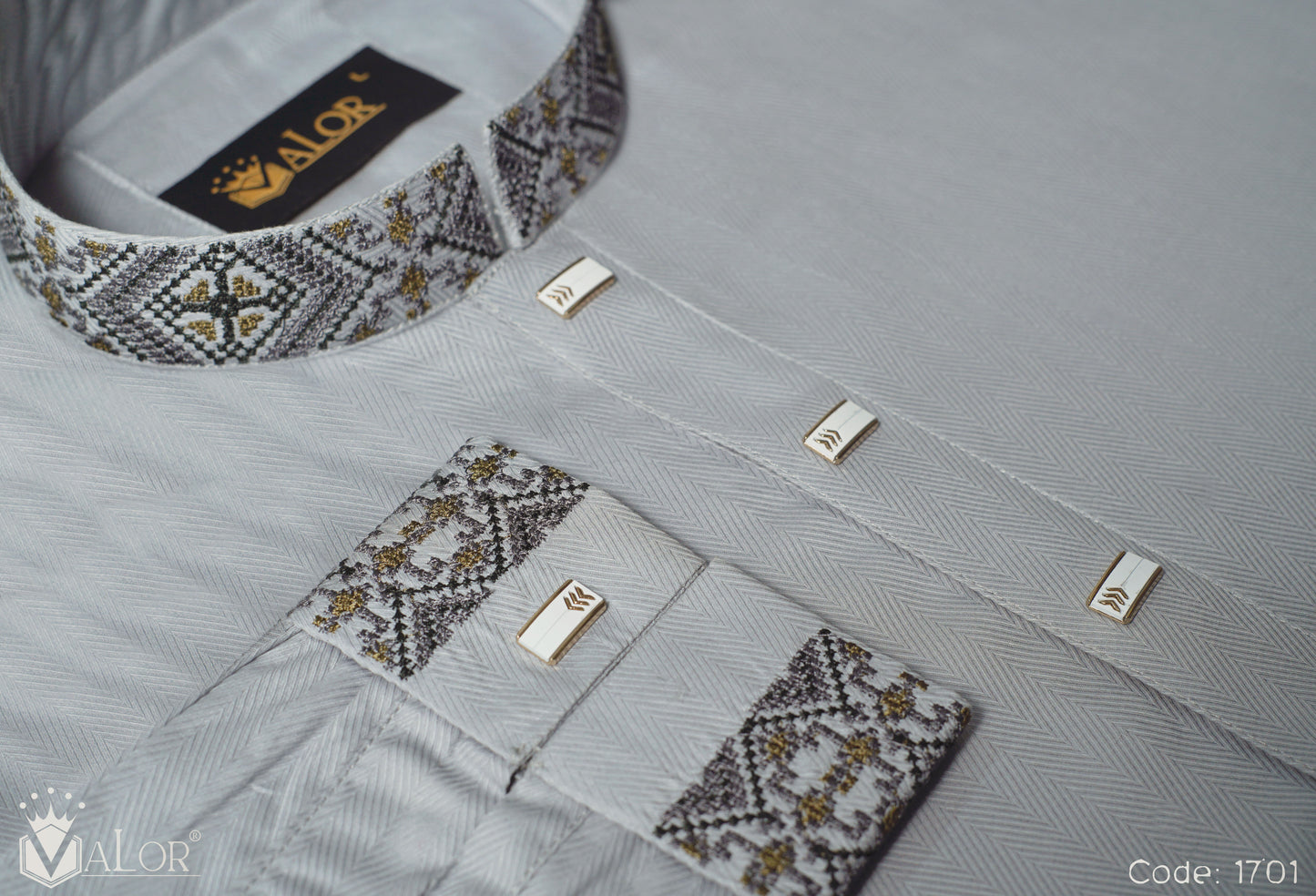 Sahara Panjabi (1701)