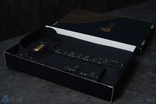 Elegance Panjabi (1803)